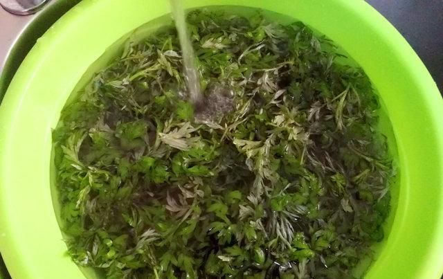  糯米粉：清明,教你最简单的青团,一次就成功,比外面买的好吃,绿色营养