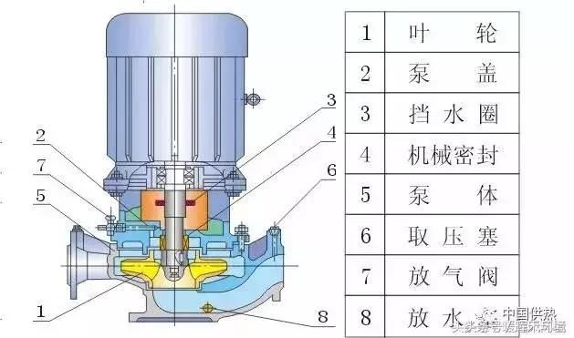 循环泵内部构造图片