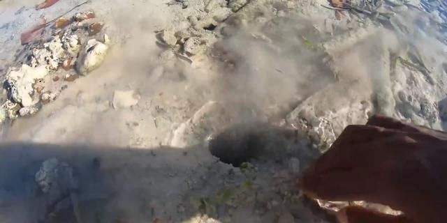  「准确」到海里去，多注意海里的小坑。里面有皮虾。一次钓鱼是准确的。又大又胖