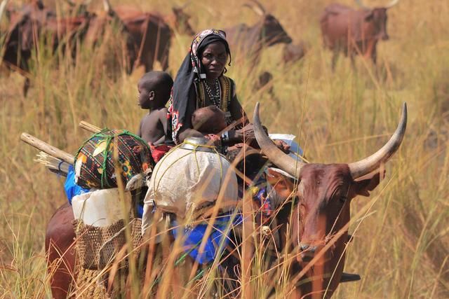 该国曾嫌弃中国游客，提高签证条件限制中国游客，如今却尽力挽回