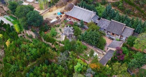  实拍：实拍：农村20岁双胞胎兄弟，耗费48年让400亩黄土变为山林