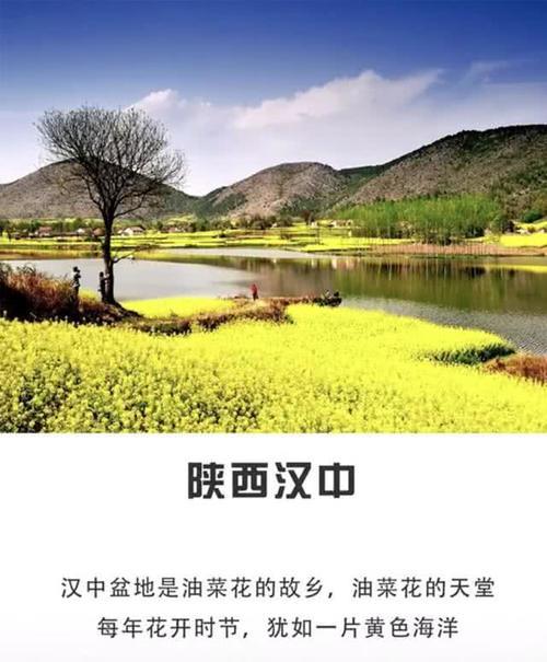 春天看油菜花好去处,错过了就要再等一年!