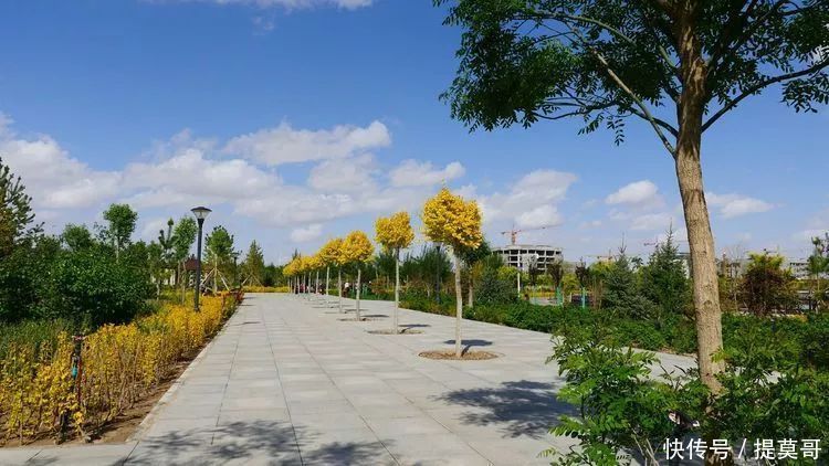 要火了,谁总结的你身边的民勤,原来如此美丽