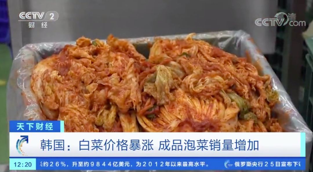 「白菜」白菜价格暴涨！韩国主妇：腌不起泡菜了…