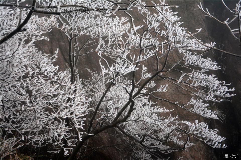 2019春节自驾 游黄山