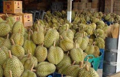 为讨好中国游客,泰国做法也是可以了,游客:从此不会去了!