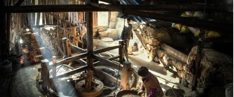  油渣饼@农村在榨油，不用钱，但榨出来的菜籽渣和花生渣不给你，