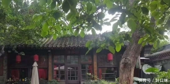 农村院子里种什么树好？民间五大“镇宅树”，寓意美好还容易种活