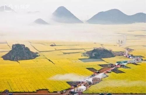 最美的花海,中国几个最值得去的花海