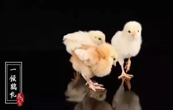 时令 | 今日大寒，气温要升了！要做好这些事