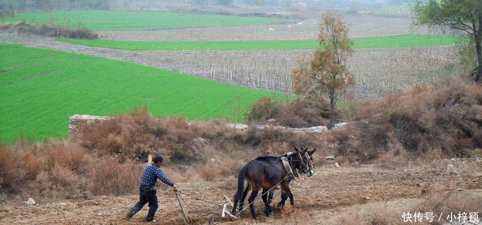 「石磨」农村兴起怪生意，有人专门收农具，一个石磨给100元，到
