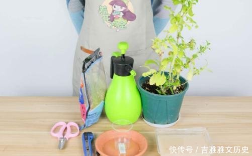  『开花』开花劳模就是它，开春狠心剪一剪，半个月就爆盆，不要心疼枝条！