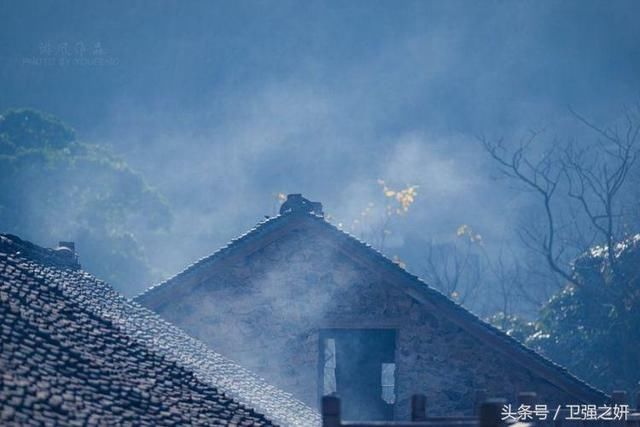 【空谷幽兰】烟雨花香又一春