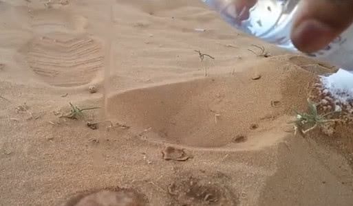 沙漠中温度有多低？小伙倒了一瓶水，下一秒不可思议的一幕出现了