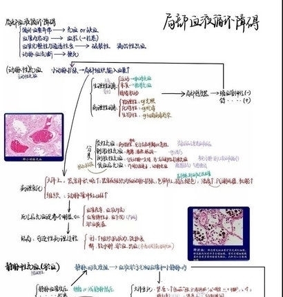  『借来』学霸的笔记原来长这样……网友：期末了我想借来复习！