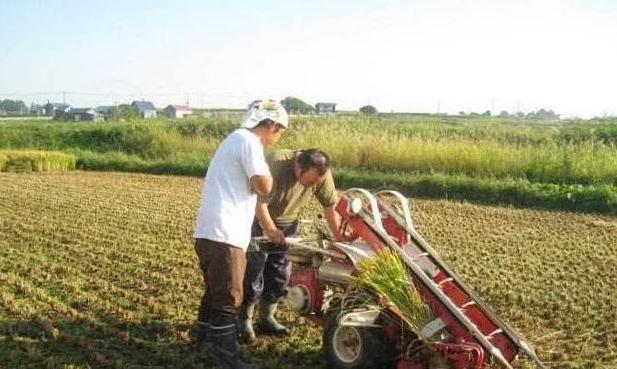  城市户口@孩子的户口在城市，你是否会把孩子的户口转回农村！