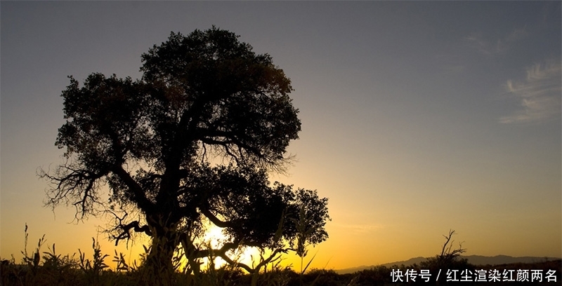  沿途■从北京到新疆，穿过世界最长的沙漠公路，闯过黄沙与荒芜戈壁