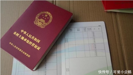 2019年之前，这两个证抓紧时间办，明年有可能就不给办了