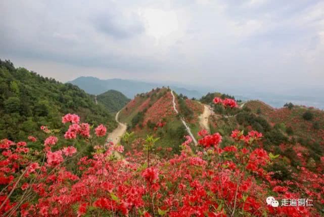  花语长征■铜仁|松桃：炫酷民族风“炸”翻天