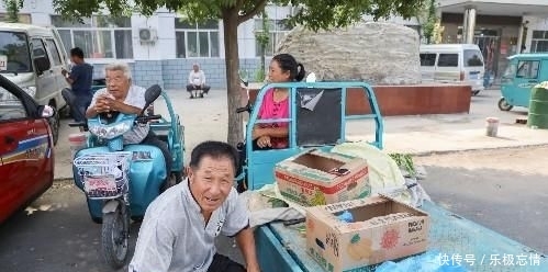  「任大叔」农民大叔种果树30年，曾一亩地亏1700元，农村大集找