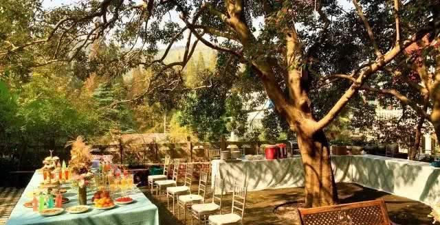 66岁大叔，8年时间打造出了中国最美私家花园，让人叹为观止！