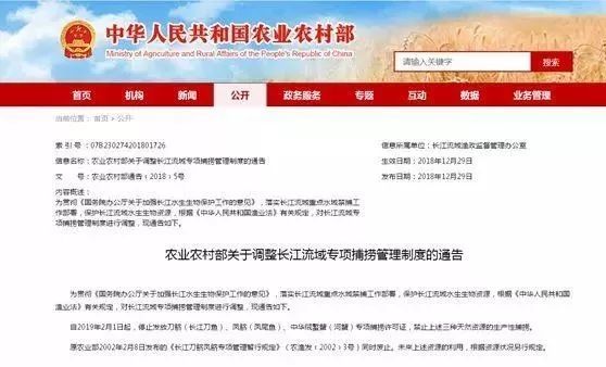 全面禁捕！这种动辄上万一斤的小鱼，今后再也吃不到了？