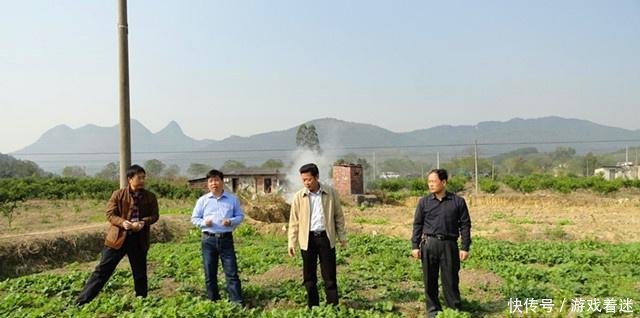 承包地种树怪象刚来，农村又出现2种怪风气，老农无奈又头疼