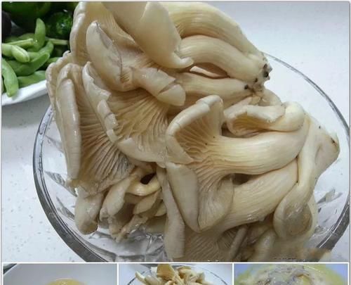  [家里]家里阳光差，试着养盆它，不但长的快还能吃！