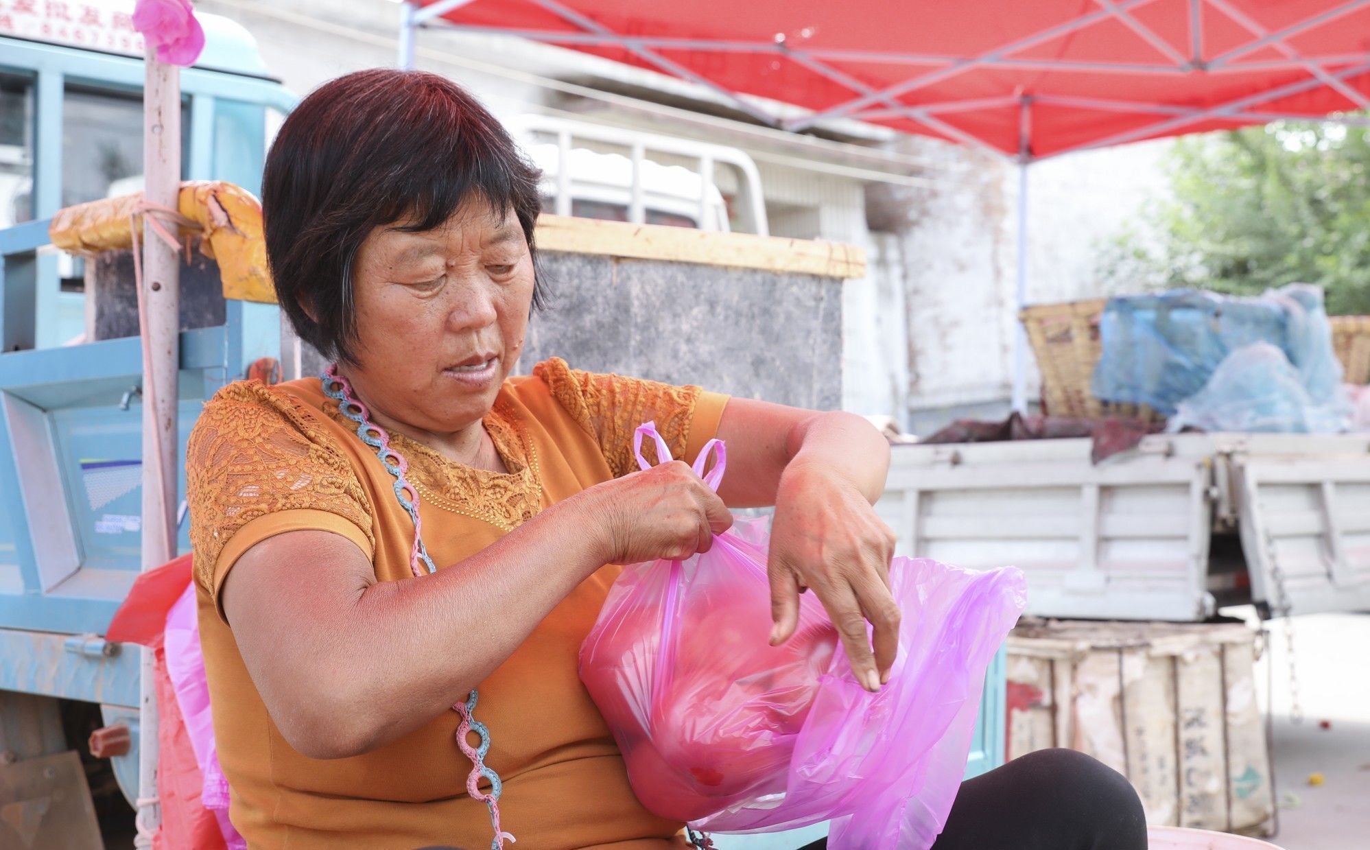  【奶奶】山东6旬农民大妈种8亩西红柿，大集做生意还要看孙子，