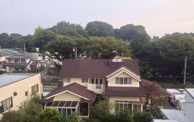  [种地]日本“穷人”住别墅，富人在闹市买地专用来种地，这个世