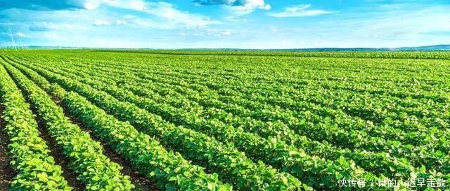 补贴面临取消，明年起农村补贴将进行大幅调整，有些人尴尬了