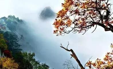 登高揽胜 云海情长