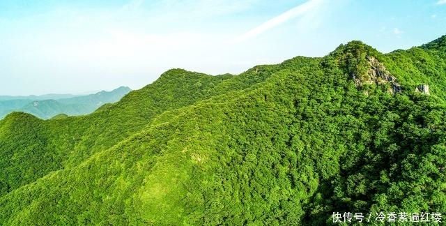 这个景区在河南，因景色美人来了不想走，瀑布群花海翠竹要素太多