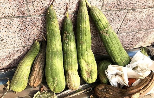 「大哥」农家院遇稀罕物，城里人花钱，农村大哥直接说：抱走