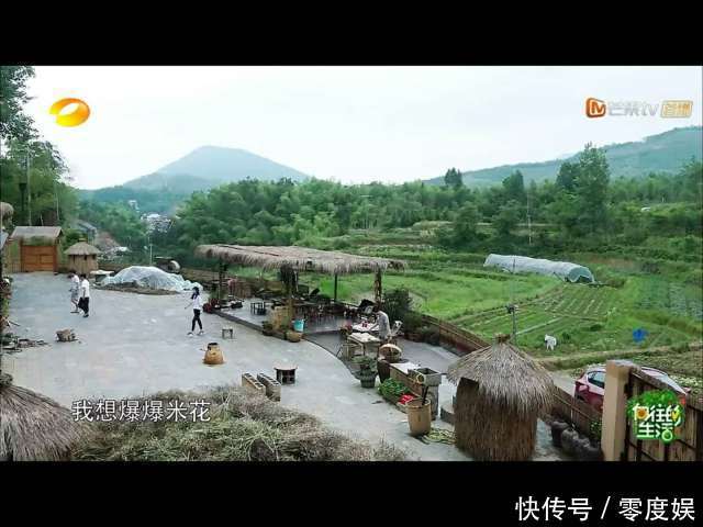 大家喷杨颖不是因为假吃，最重要的原因居然是这个？