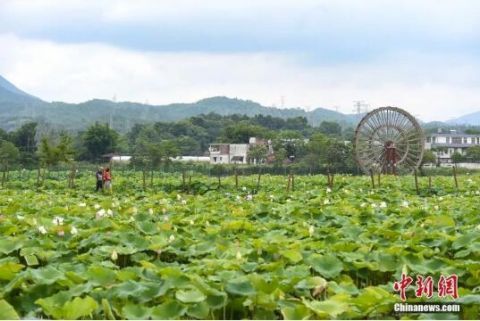 走！坐上这趟高铁，不仅能欣赏风景，还能看到历史