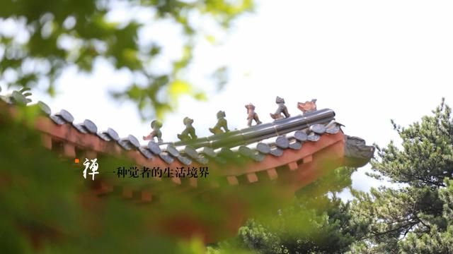 探访江西庐山神秘的汉传佛教文化禅修院,历朝文人墨客曾来此游历