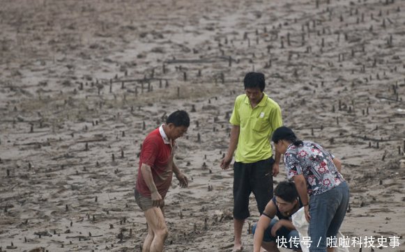 1986年黄河因泄洪，而漏出河底，在石洞中发现了一种宝贝