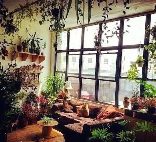  『花房』想要一个玻璃花房，安守四季的阳光