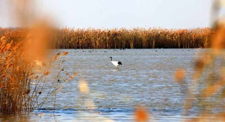 我国唯一没山的城市，拥有江苏首个自然遗产，是中国百强城市