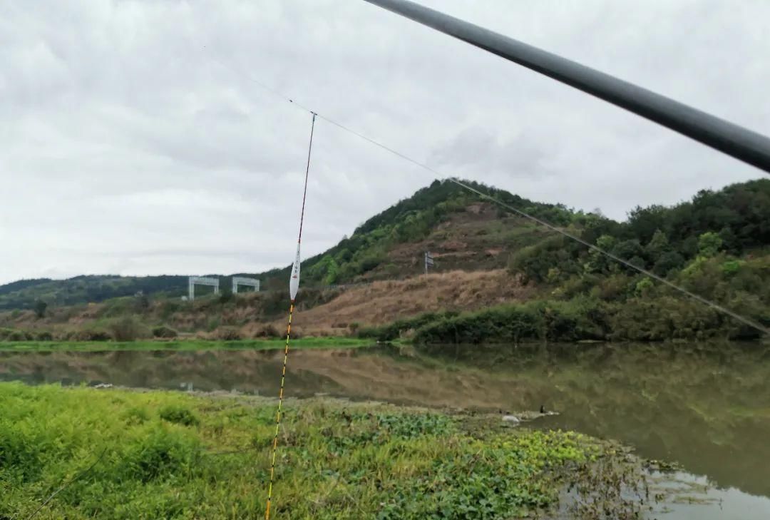  「细长身浮漂」黑坑钓鱼多用枣核漂？枣核漂并不万能，针对鱼情使用最重要