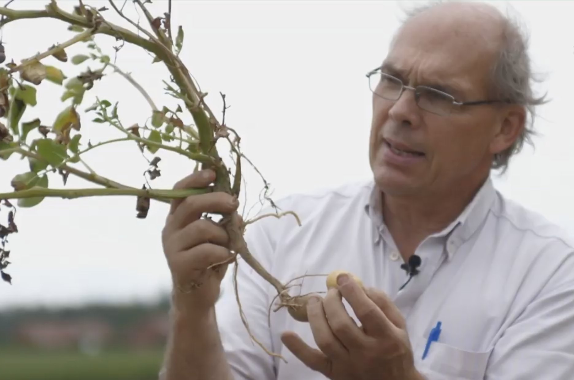  [比利时]从依赖外国技术到反向支持 中国这方面进步让比利时专家