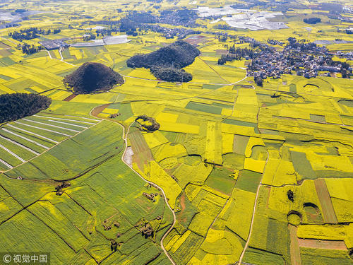 油菜花“开工大吉”？错峰休假去看春天第一拨花海