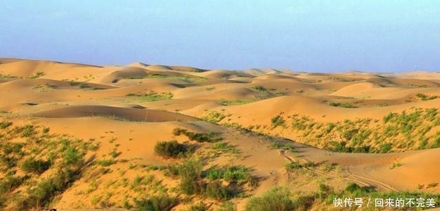  方公里■种树都可以拿诺贝尔和平奖, 为什么库布齐治沙不给获奖