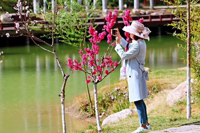 三月春暖花开,又到了寻花问柳的季节!