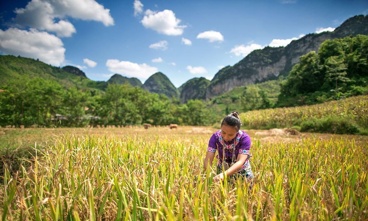 云南最后的“世外桃源”，通道夹藏在水中，来了容易不想走