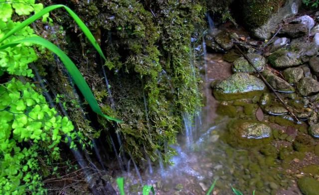  【马村贡米】走进青川县建峰镇