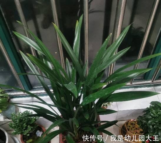养花■养花的三个“禁忌”,沾上一个,就容易养死,你中了几个