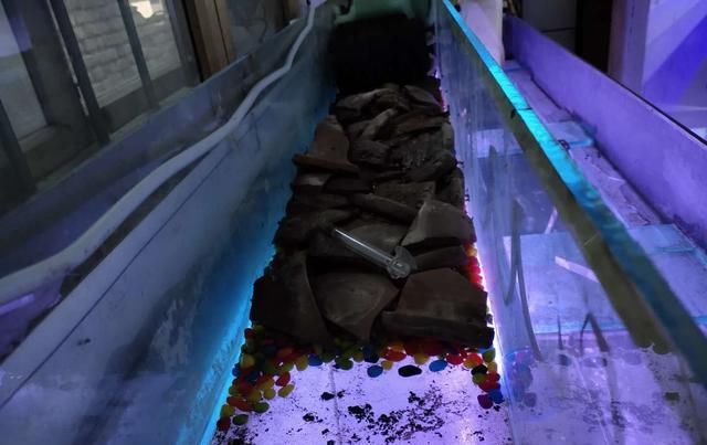  「彩色石子和」观赏鱼入缸两天水温33度，水质完全恢复，养水有那么难吗？