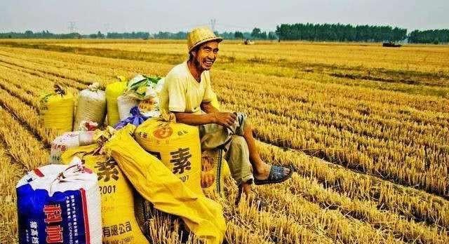 土地“退出潮”没结束，“退租潮”又来了，咋回事？老农说出实情